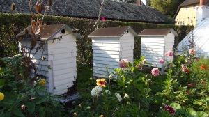 2014 09 (Sep) 06 489 BLOG Bee houses